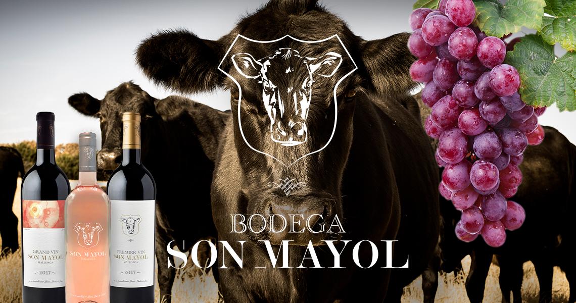 BODEGA SON MAYOL - IN SEARCH OF THE PERFECT WINE