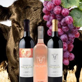 BODEGA SON MAYOL - IN SEARCH OF THE PERFECT WINE